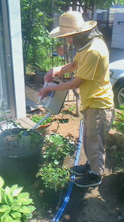 2015052609280000.jpg