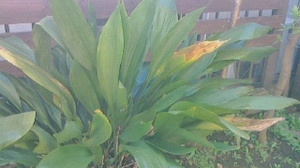 2015032509580000.jpg