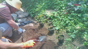 2015061701540000.jpg